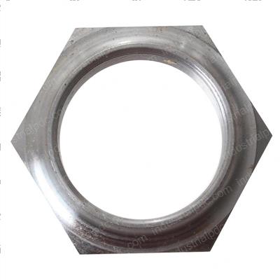 Picture of Nut