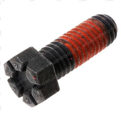 Picture of Screw Cap