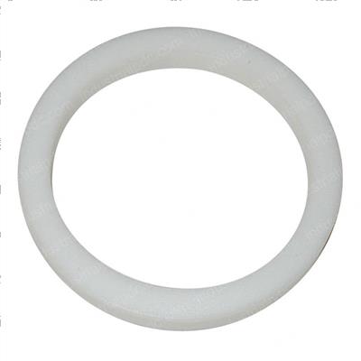 Picture of Seal