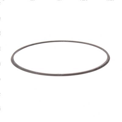 Picture of Seal - Ucup