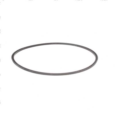 Picture of Seal - Ucup