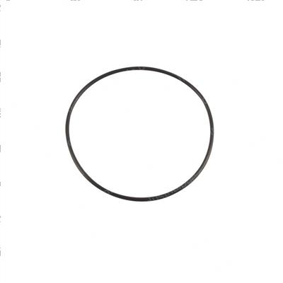 Picture of O-Ring