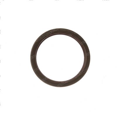 Picture of Seal - Oil