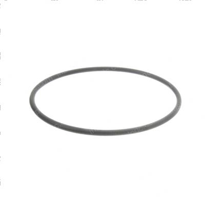 Picture of O-Ring