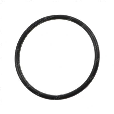 Picture of O-Ring