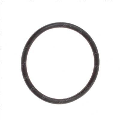 Picture of O-Ring