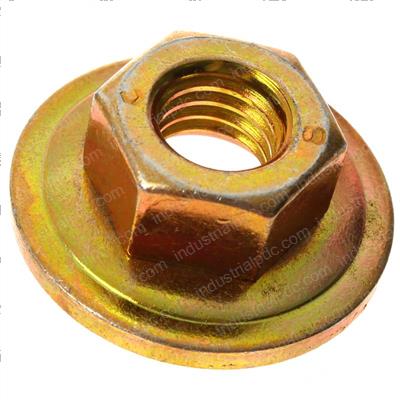 Picture of Securing Nut