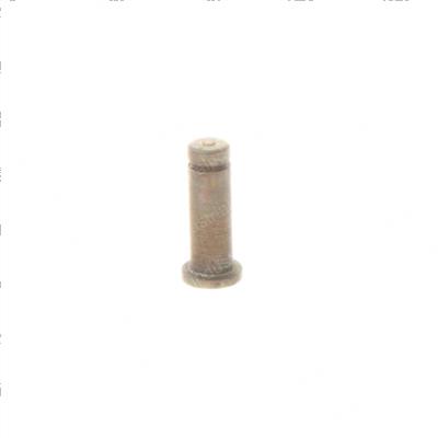 Picture of Pin