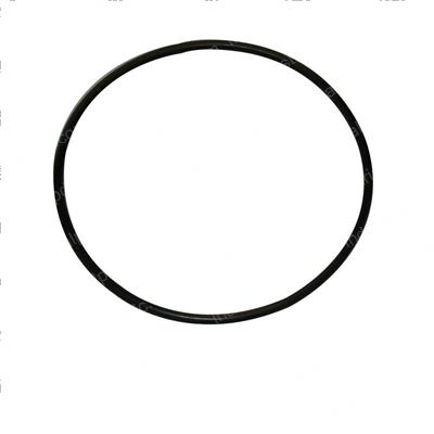 Picture of O-Ring