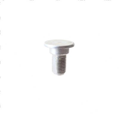 Picture of Bolt - Special