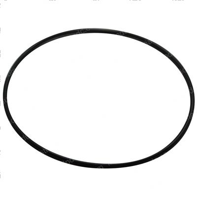 Picture of O-Ring