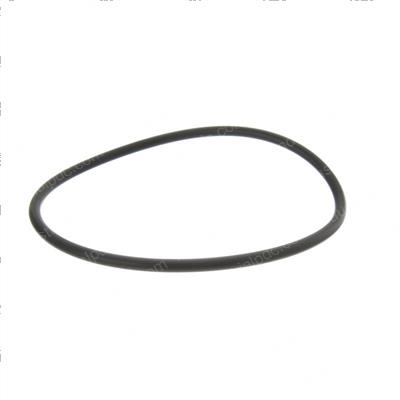 Picture of O-Ring