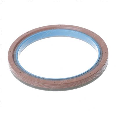 Picture of Seal,front E