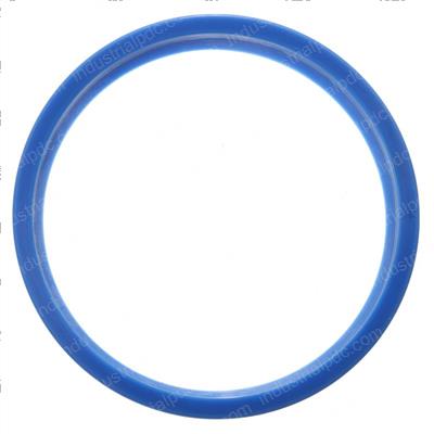 Picture of Dust Ring