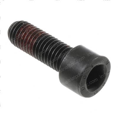 Picture of Bolt