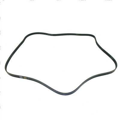 Picture of Belt - Serpentine