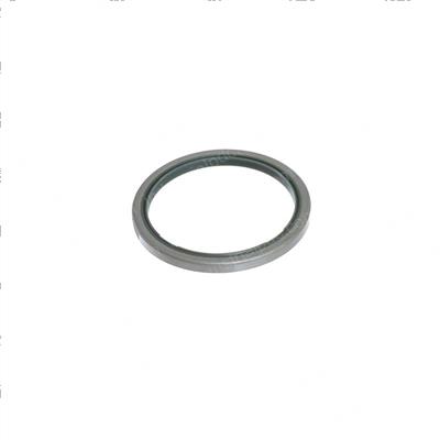 Picture of Seal