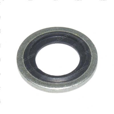 Picture of Seal Ring