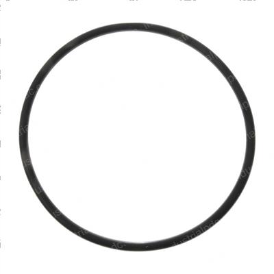Picture of O-Ring
