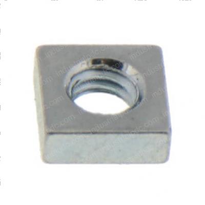 Picture of Squarenut