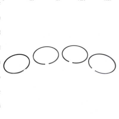 Picture of Ring Set for 1 Cylinder