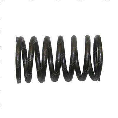 Picture of Valve Spring