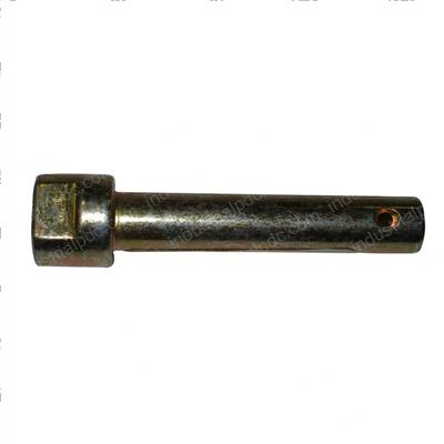 Picture of Pin Class Iii