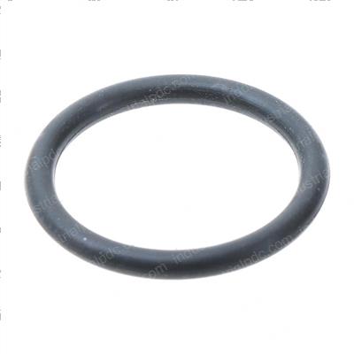 Picture of O Ring - 24x2.4
