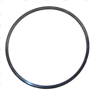 Picture of Seal Ring