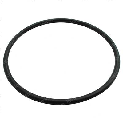 Picture of O-Ring