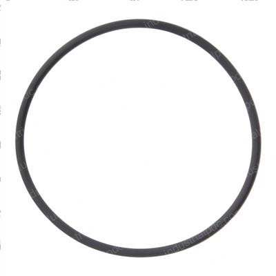 Picture of O-Ring
