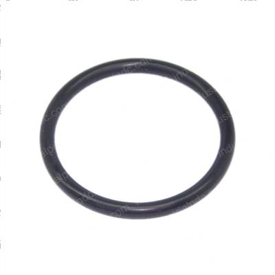 Picture of O-Ring