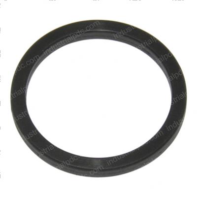 Picture of O-Ring (thermostat H