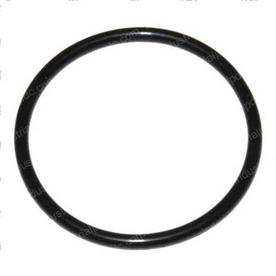 Picture of O-Ring