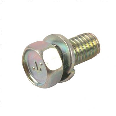Picture of Screw - Sems