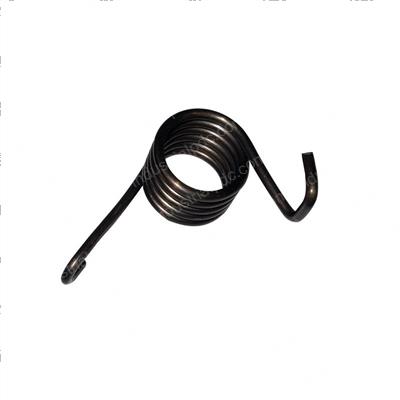 Picture of Spring - Torsion