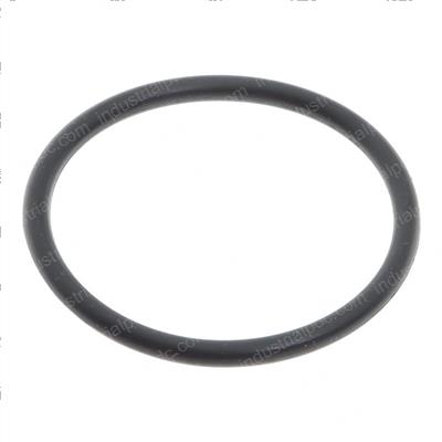 Picture of O-Ring