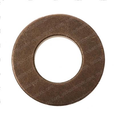 Picture of Washer Special Thrust