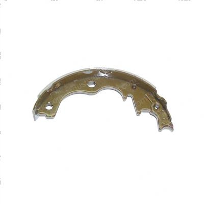 Picture of Shoe + Lining Assembly