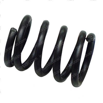 Picture of Spring - Hold Down