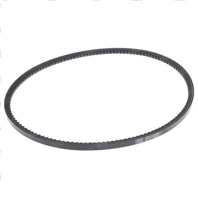 Picture of Alternator Belt