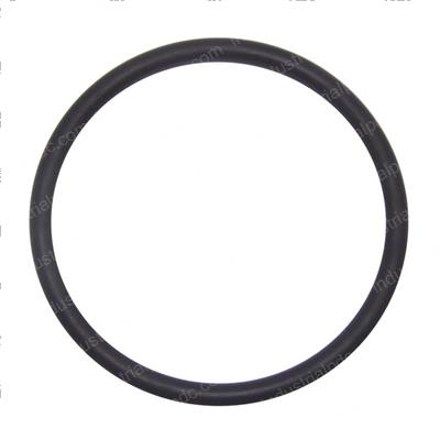 Picture of O-Ring