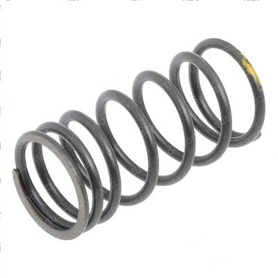 Picture of Spring - Valve Inner