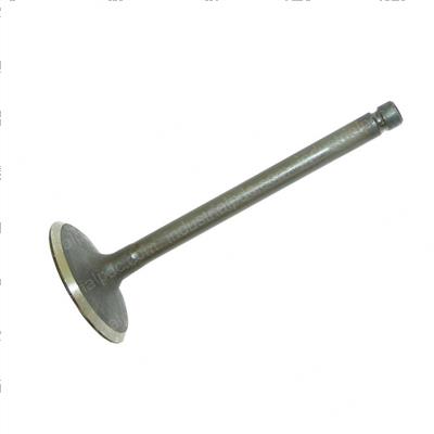 Picture of Valve - Intake
