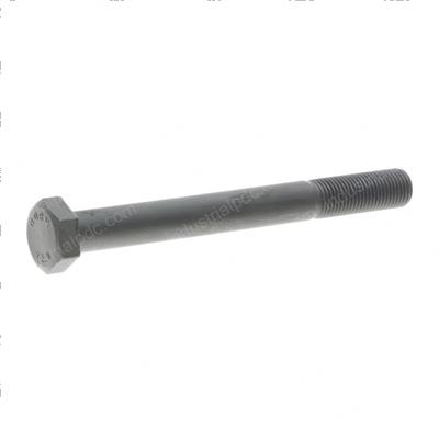 Picture of Bolt - Special