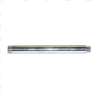 Picture of Ram