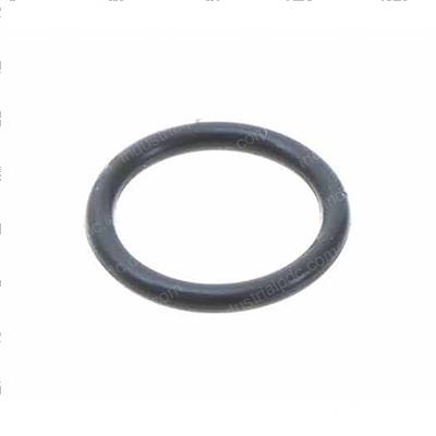 Picture of O-Ring