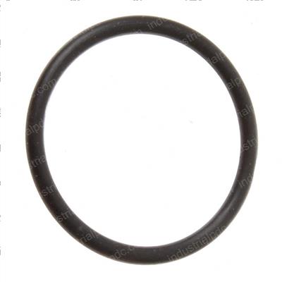 Picture of O-Ring