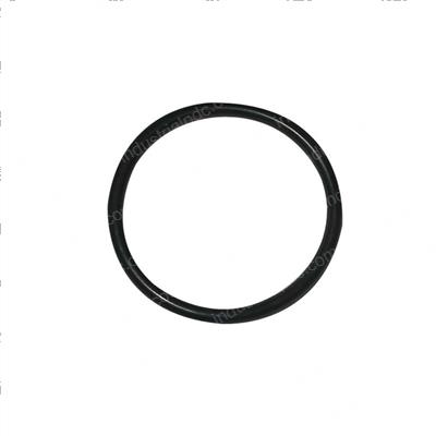 Picture of O-Ring