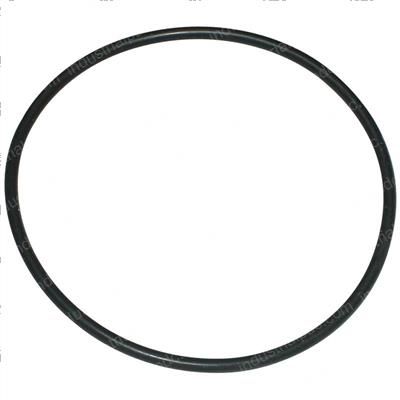Picture of O-Ring
